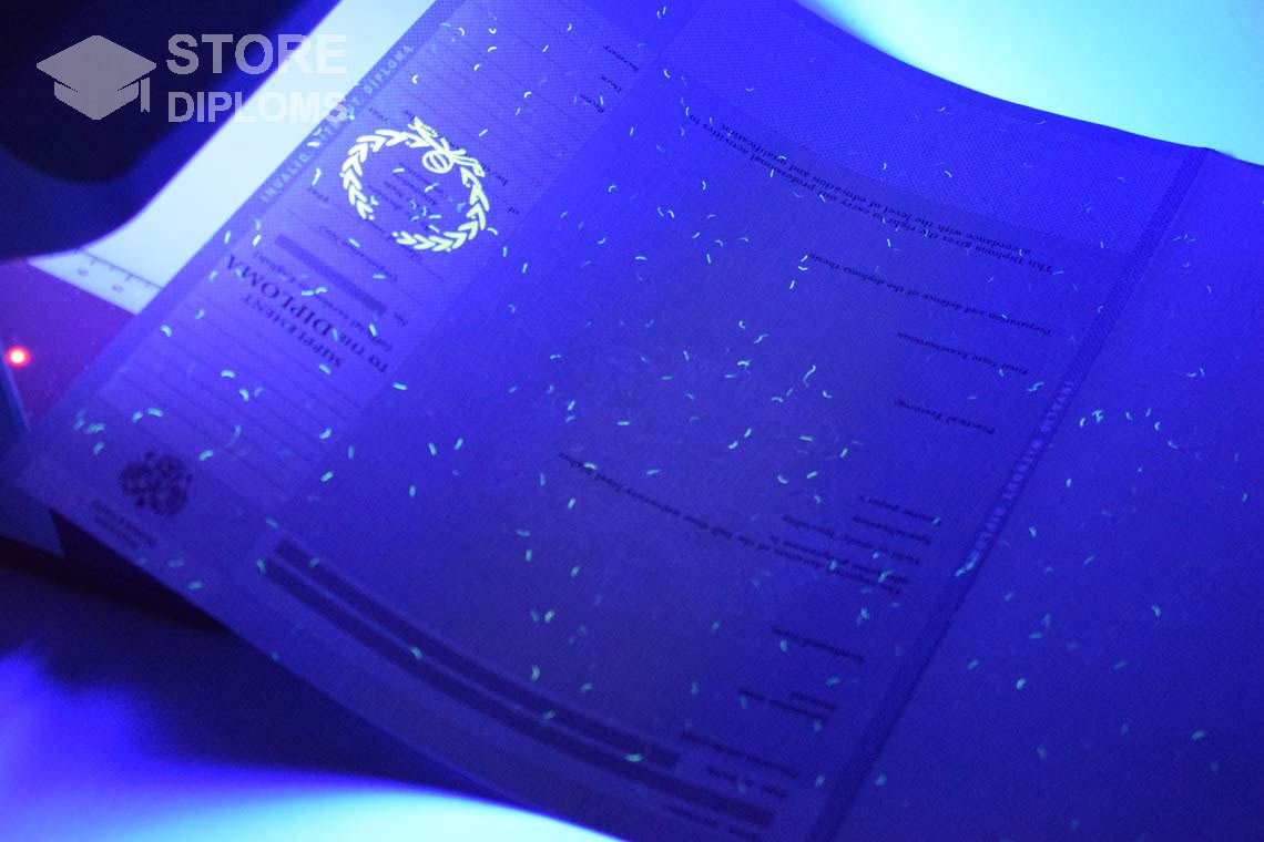 Приложение к Диплому Для Иностранных Граждан в Ультрафиолете - Полтаву